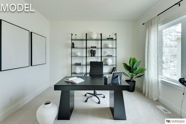 12386 Fenwick St, Papillion, NE 68046 - carpeted office space featuring plenty of natural light