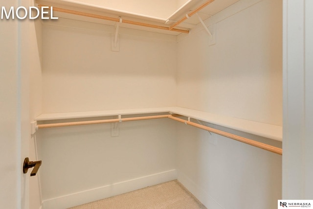 12386 Fenwick St, Papillion, NE 68046 - view of walk in closet