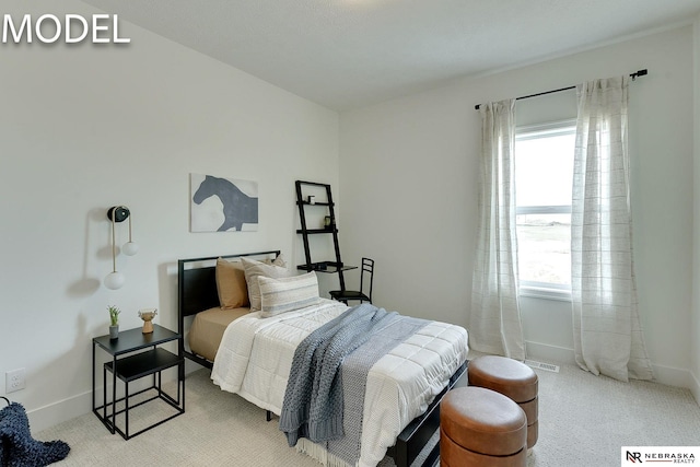 12386 Fenwick St, Papillion, NE 68046 - bedroom with multiple windows and carpet floors