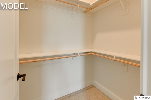 12386 Fenwick St, Papillion, NE 68046 - spacious closet with light colored carpet