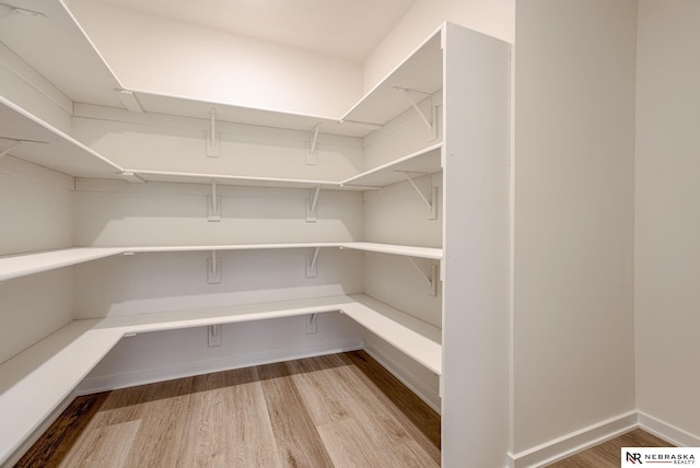 12382 Fenwick St, Papillion, NE 68046 - view of pantry