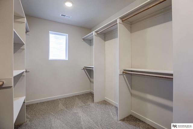 12382 Fenwick St, Papillion, NE 68046 - spacious closet featuring light carpet