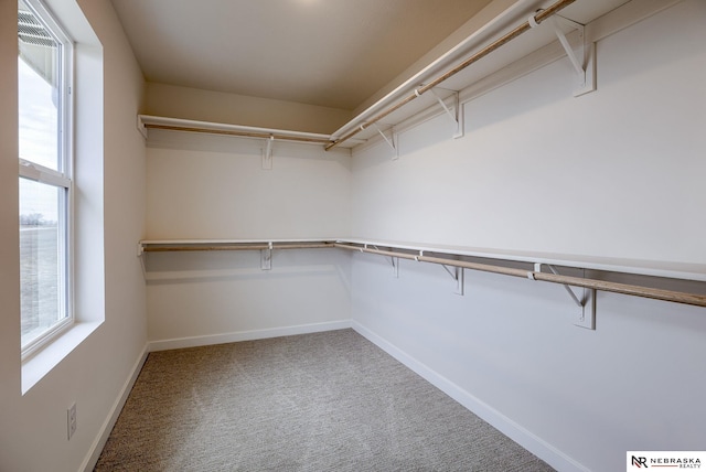 12382 Fenwick St, Papillion, NE 68046 - spacious closet featuring carpet flooring