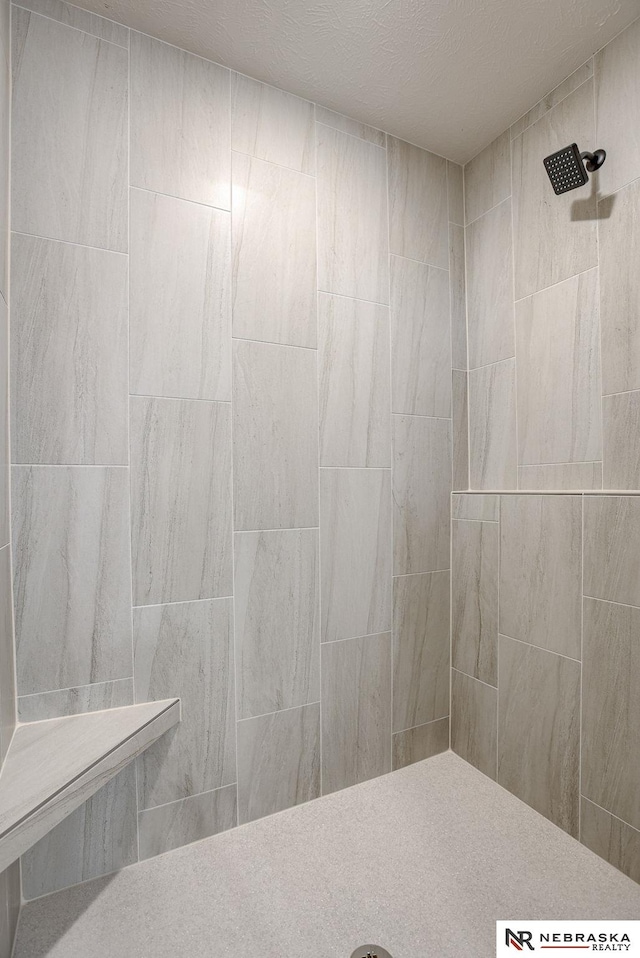 12382 Fenwick St, Papillion, NE 68046 - full bath featuring a tile shower