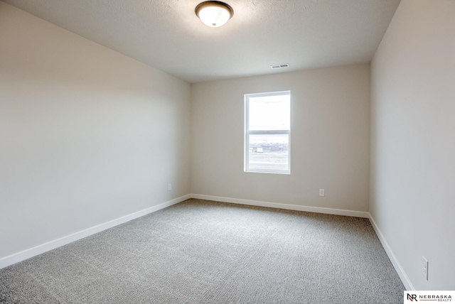 12382 Fenwick St, Papillion, NE 68046 - unfurnished room with carpet and a textured ceiling