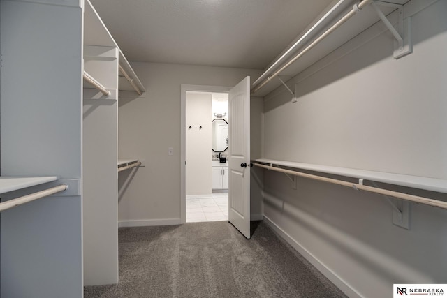 19015 Ranch Dr, Papillion, NE 68046 - spacious closet featuring carpet