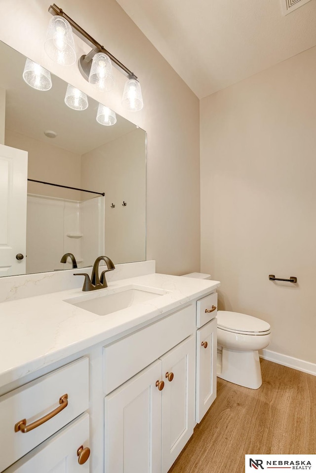 12206 S 113th St, Papillion, NE 68046 - bathroom featuring wood finished floors, vanity, and a shower