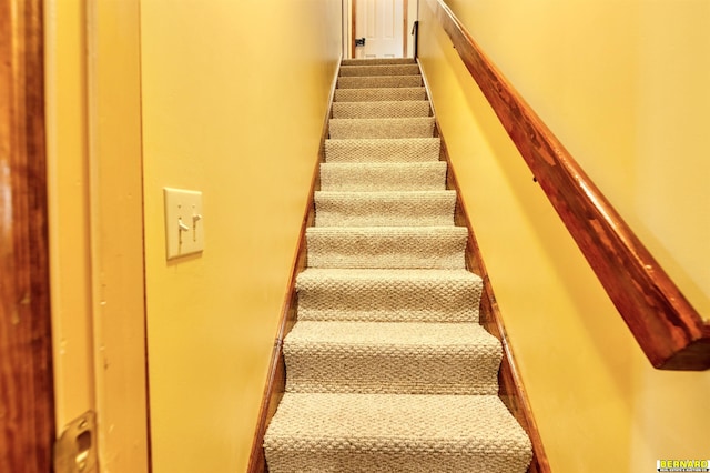 1916 S 42nd Rd, Talmage, NE 68448 - staircase with carpet