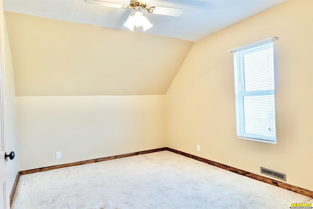 1916 S 42nd Rd, Talmage, NE 68448 - bonus room featuring carpet, lofted ceiling, and a ceiling fan