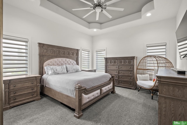 4802 N 187th Ave, Elkhorn, NE 68022 - carpeted bedroom featuring recessed lighting, a tray ceiling, and a ceiling fan