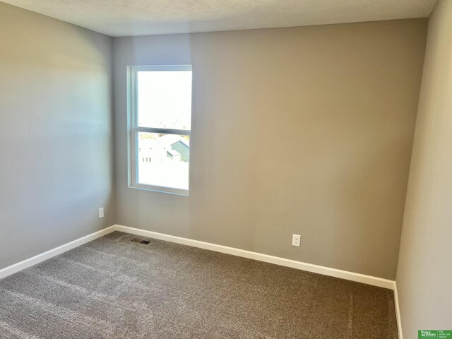 8619 N 176th St, Bennington, NE 68007 - spare room with carpet floors