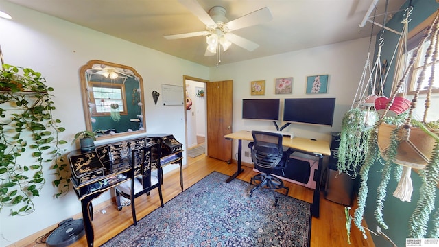 7923 Harney St, Omaha, NE 68114 - office area featuring wood finished floors, a ceiling fan, and healthy amount of natural light