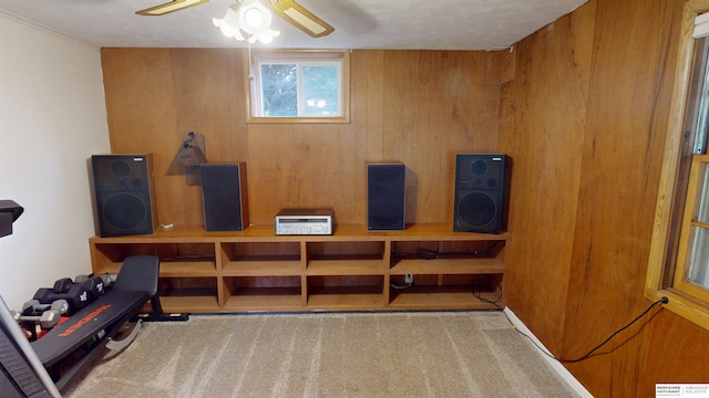 7923 Harney St, Omaha, NE 68114 - miscellaneous room with carpet flooring, a ceiling fan, and wood walls