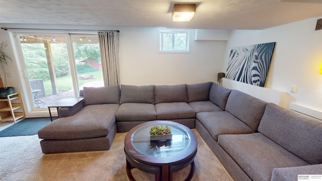 7923 Harney St, Omaha, NE 68114 - view of carpeted living room