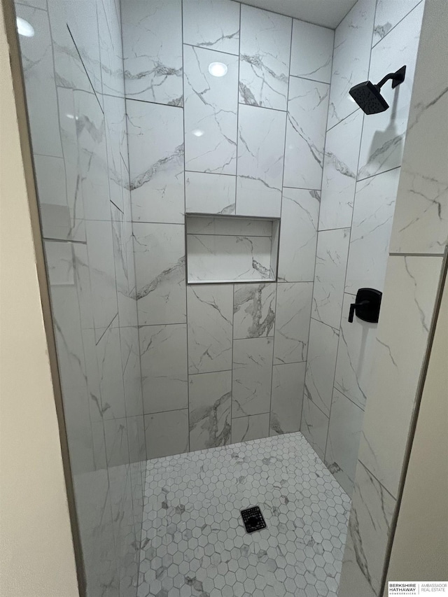 19756 Briar St, Gretna, NE 68028 - full bath featuring a tile shower
