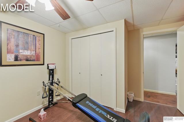 9404 N 294th St, Valley, NE 68064 - workout room with wood finished floors and a ceiling fan