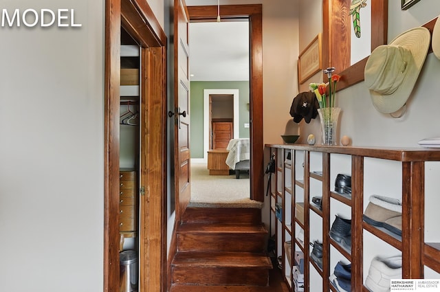 9404 N 294th St, Valley, NE 68064 - hall with dark colored carpet