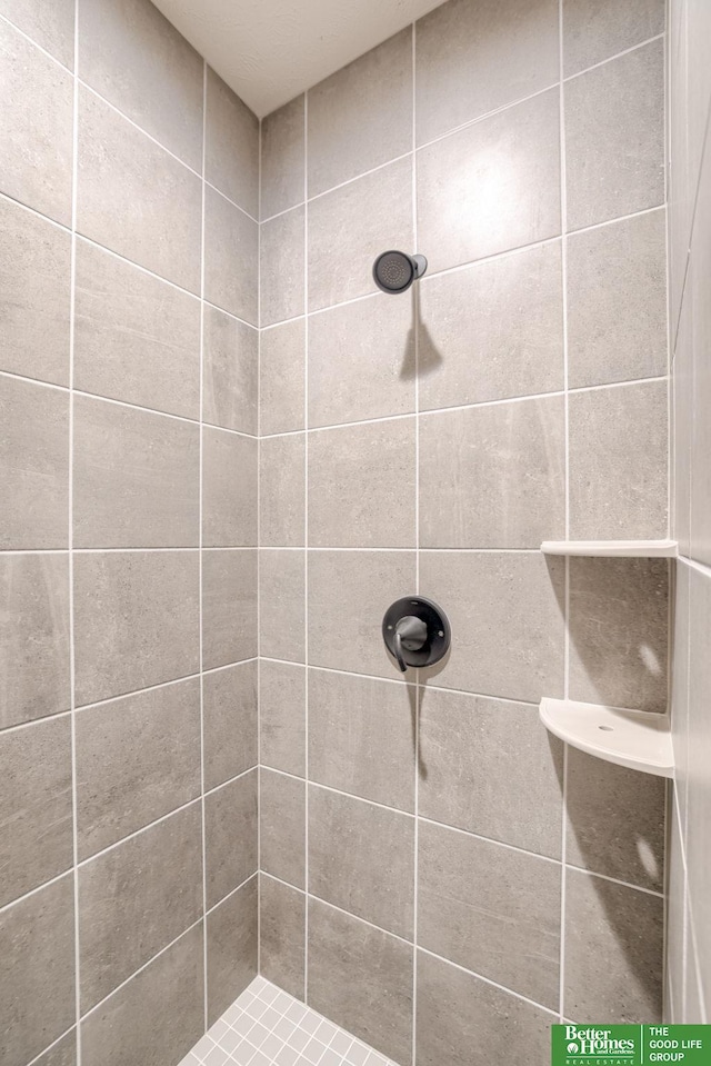 10110 Laramie St, Papillion, NE 68046 - full bath with a tile shower