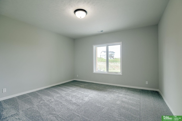 10110 Laramie St, Papillion, NE 68046 - spare room featuring carpet flooring and a textured ceiling
