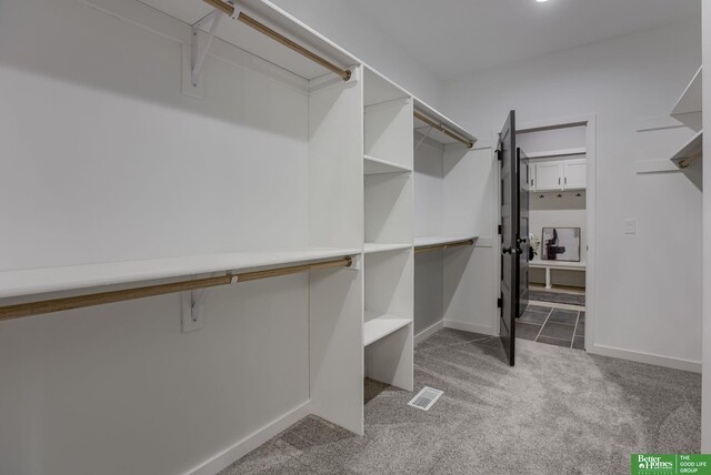 5620 N 212th St, Elkhorn, NE 68022 - walk in closet featuring carpet