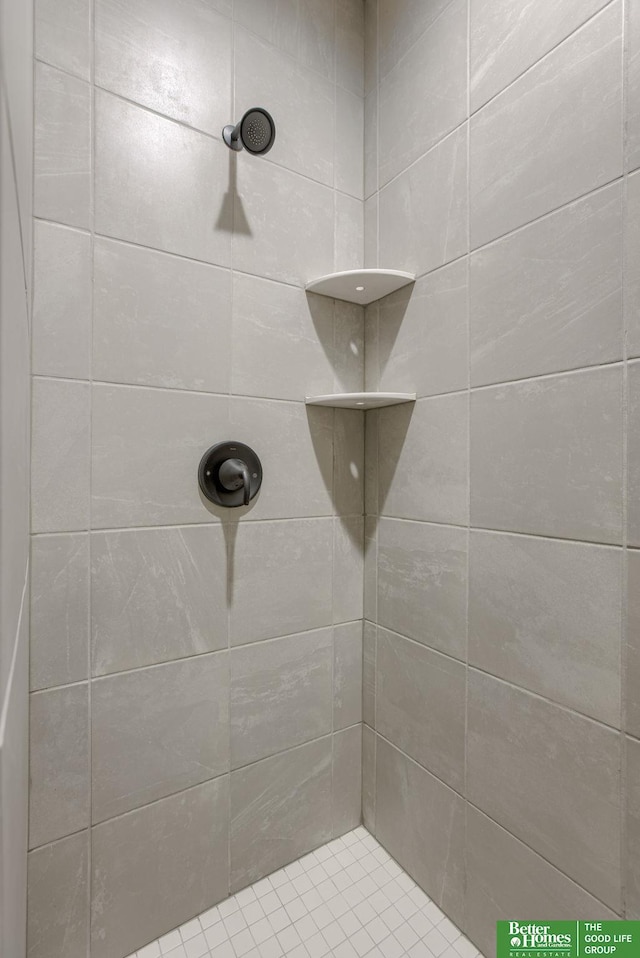 5602 N 212th St, Elkhorn, NE 68022 - full bathroom with tiled shower