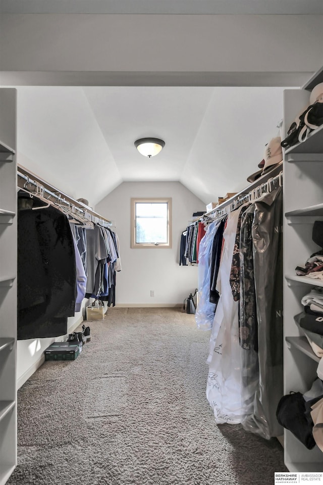 10149 Edward St, La Vista, NE 68128 - spacious closet with lofted ceiling and carpet flooring