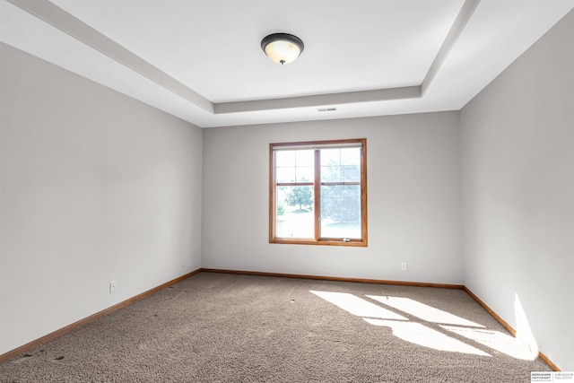 10149 Edward St, La Vista, NE 68128 - carpeted spare room featuring a raised ceiling and baseboards