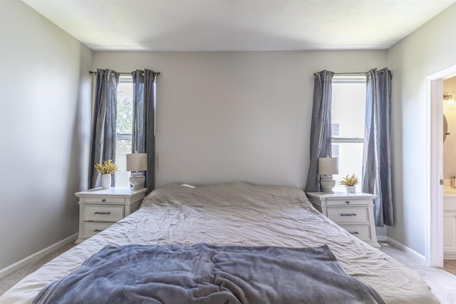 11351 S 198th St, Gretna, NE 68028 - bedroom featuring light colored carpet and ensuite bathroom