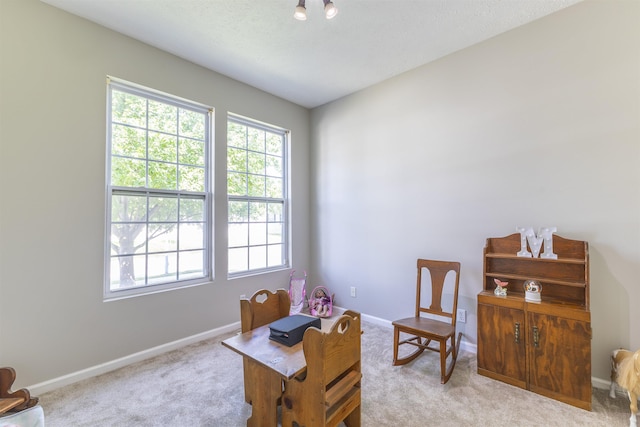 11351 S 198th St, Gretna, NE 68028 - living area featuring carpet floors and an office area