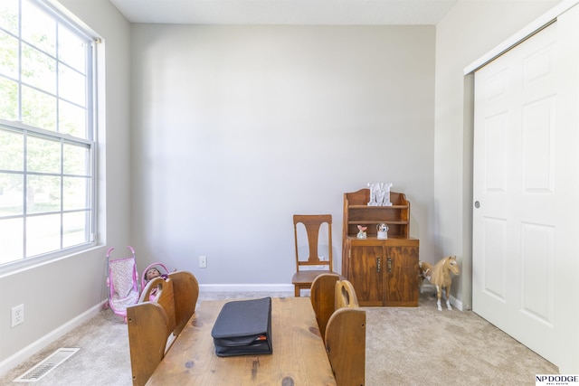 11351 S 198th St, Gretna, NE 68028 - office featuring healthy amount of natural light and carpet