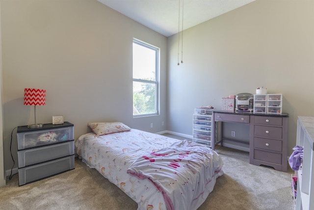 11351 S 198th St, Gretna, NE 68028 - carpeted bedroom with baseboards