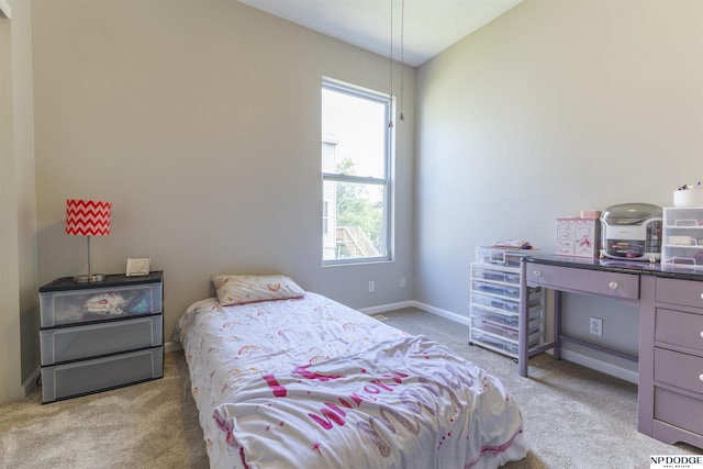 11351 S 198th St, Gretna, NE 68028 - bedroom with carpet flooring and baseboards