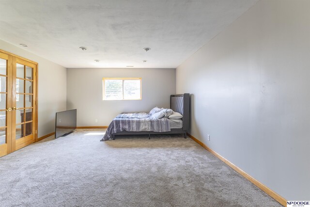 11351 S 198th St, Gretna, NE 68028 - bedroom with carpet floors and french doors