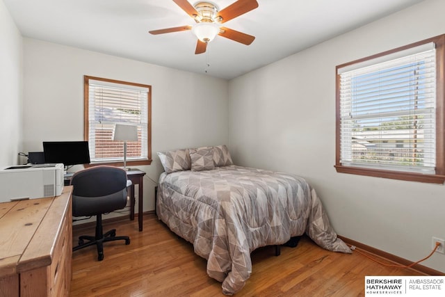 8832 Spaulding Cir, Omaha, NE 68134 - bedroom featuring multiple windows, light wood finished floors, and a desk