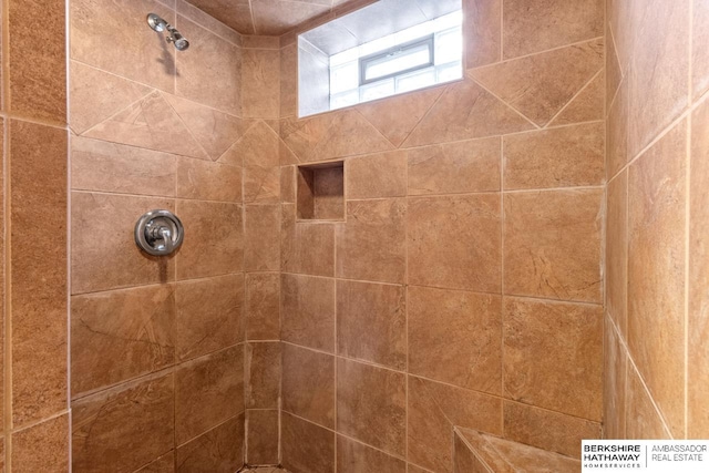 8832 Spaulding Cir, Omaha, NE 68134 - full bath featuring tiled shower