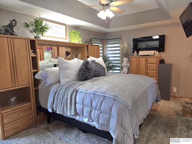 1002 Oak Ct, Plattsmouth, NE 68048 - carpeted bedroom featuring a tray ceiling and ceiling fan
