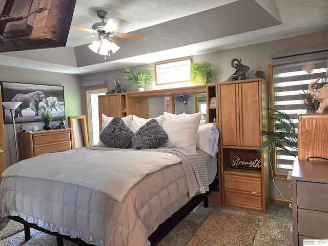 1002 Oak Ct, Plattsmouth, NE 68048 - bedroom featuring multiple windows, a raised ceiling, and ceiling fan