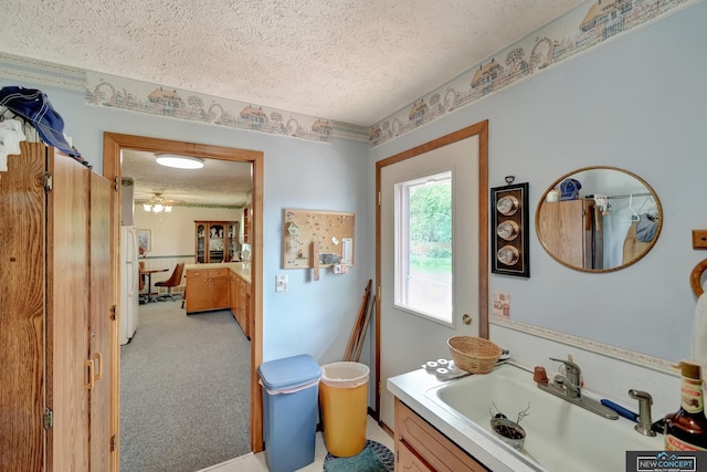 19354 SW 117th Rd, Dewitt, NE 68341 - bathroom featuring a textured ceiling and vanity
