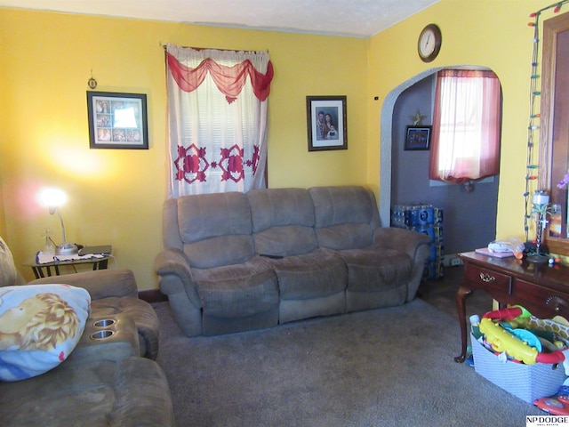 2711 Shirley St, Omaha, NE 68105 - carpeted living area with arched walkways