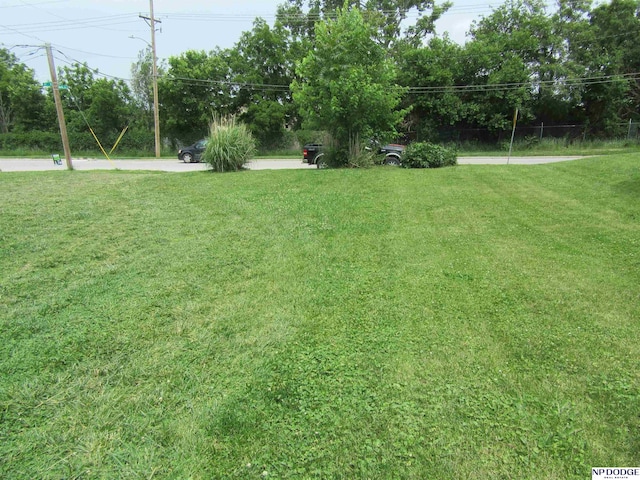 2711 Shirley St, Omaha, NE 68105 - view of green lawn