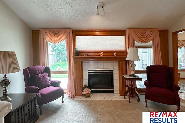 17315 M St, Omaha, NE 68135 - sitting room with carpet flooring, a tile fireplace, healthy amount of natural light, and tile patterned floors