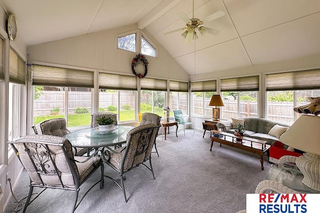 17315 M St, Omaha, NE 68135 - sunroom featuring carpet flooring, beam ceiling, and high vaulted ceiling