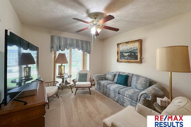 17315 M St, Omaha, NE 68135 - living room with carpet floors, ceiling fan, and a textured ceiling