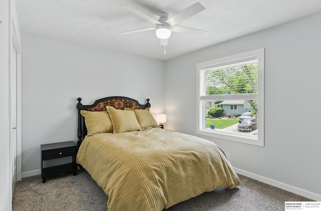 935 S 150th St, Omaha, NE 68154 - bedroom featuring carpet flooring and ceiling fan
