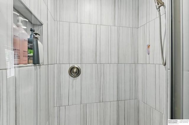 935 S 150th St, Omaha, NE 68154 - bathroom view of tiled shower