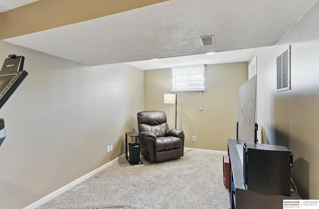935 S 150th St, Omaha, NE 68154 - sitting room with carpet flooring and a textured ceiling