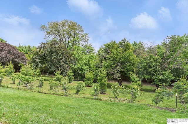 935 S 150th St, Omaha, NE 68154 - view of yard