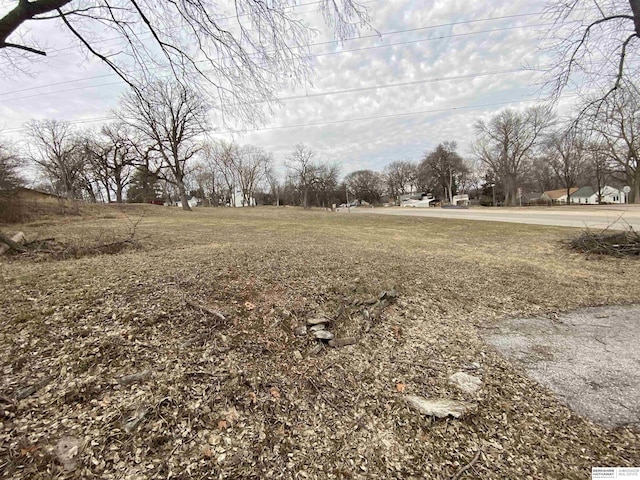 1322 Franklin St, Bellevue, NE 68005 - view of yard