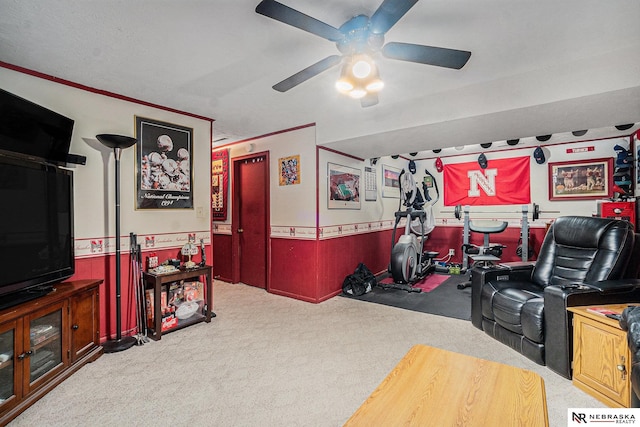 10605 Laurel Ave, Omaha, NE 68134 - workout area with a ceiling fan, carpet, wainscoting, and ornamental molding