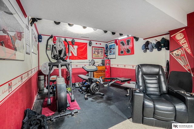 10605 Laurel Ave, Omaha, NE 68134 - exercise room featuring a textured ceiling